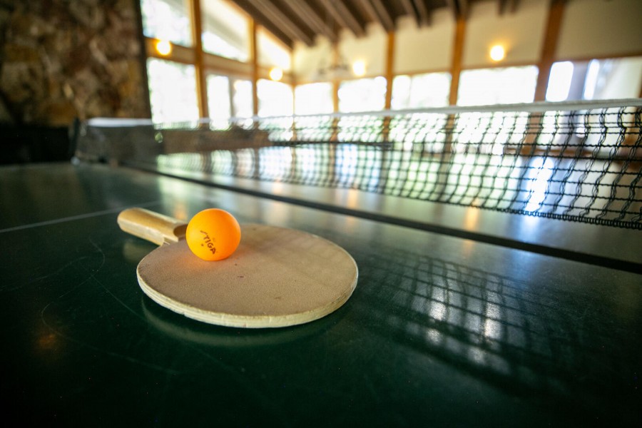 Recreation Area with Ping Pong Table
